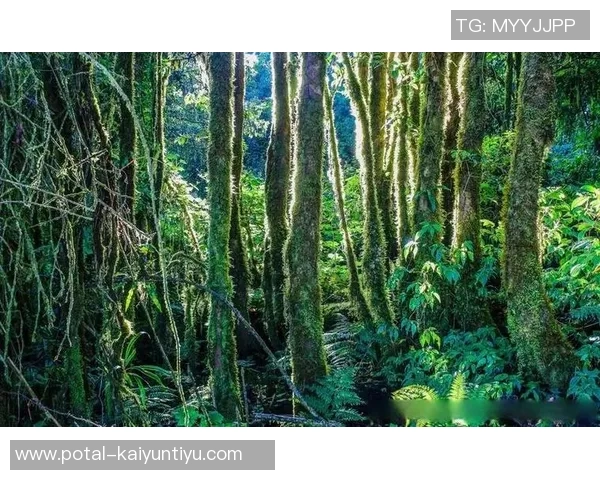 乌栖沙岩与清水的对决探讨自然景观与生态保护的平衡之道