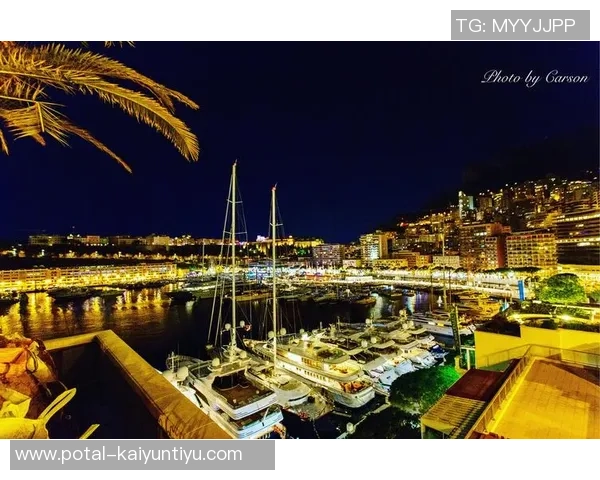 冰岛与芬兰展开激烈对决世预赛欧洲赛场精彩纷呈