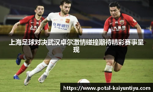开云体育官网
